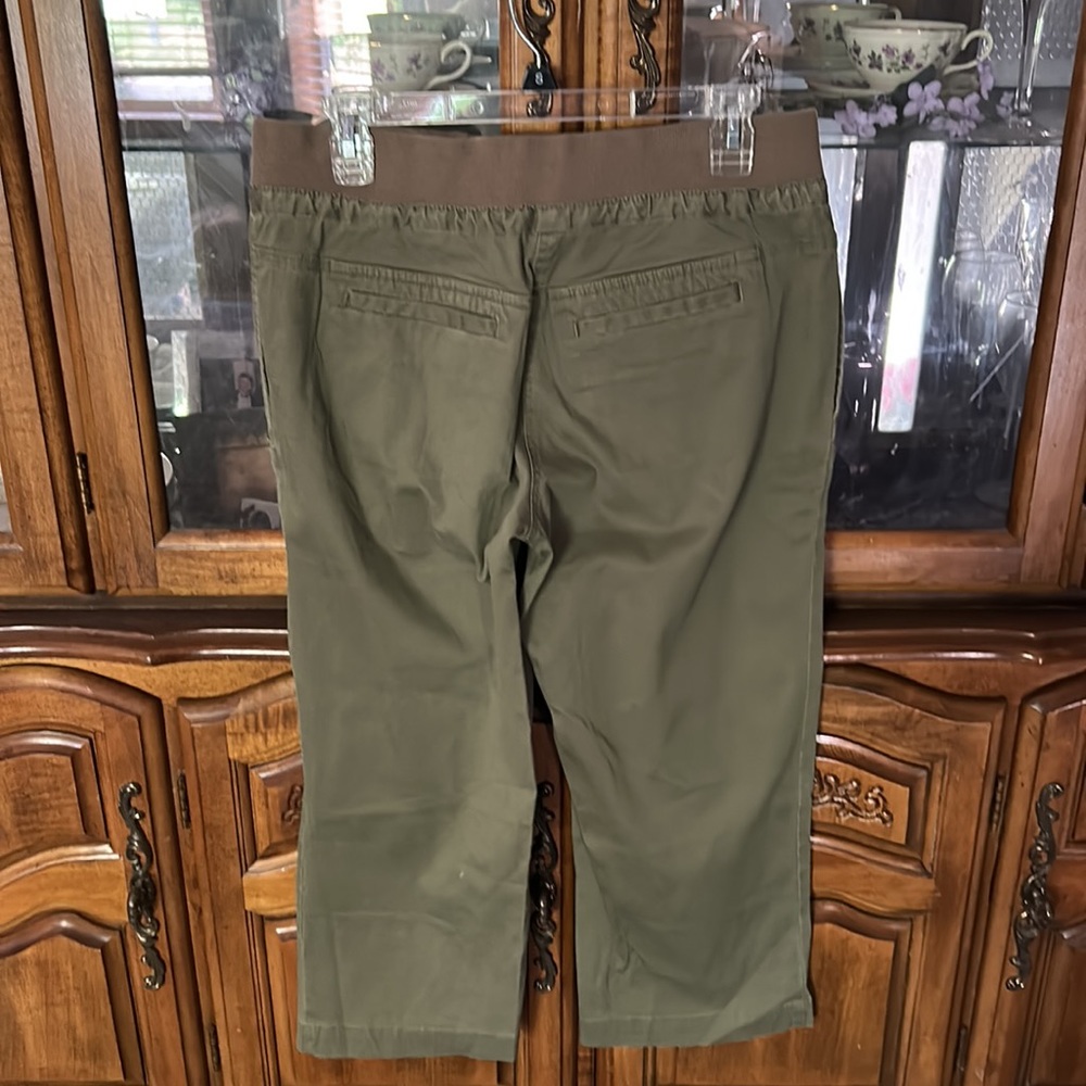 Daisy Fuentes Capri Pants